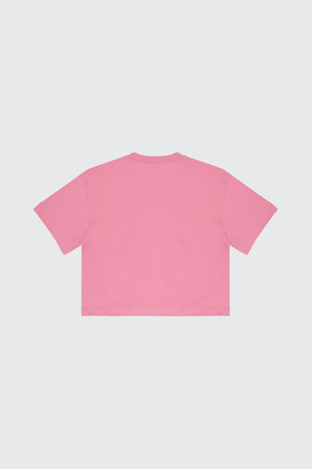 T-SHIRT TEDDY ANIMALIER