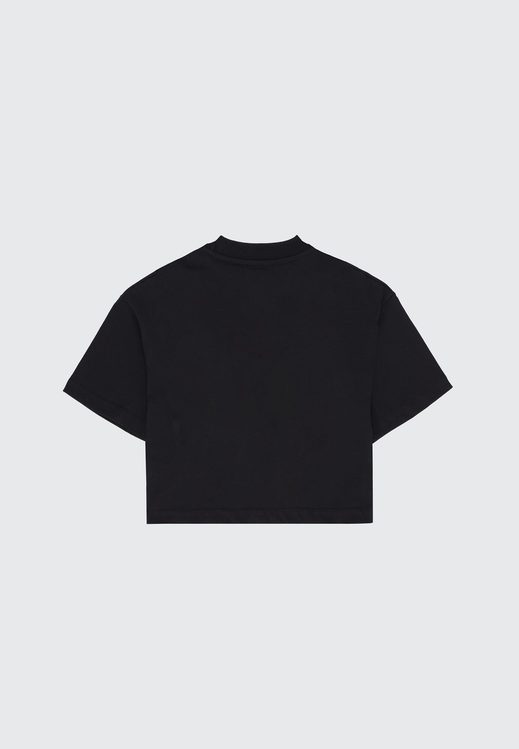 GRAPHICS CROPPED T-SHIRT