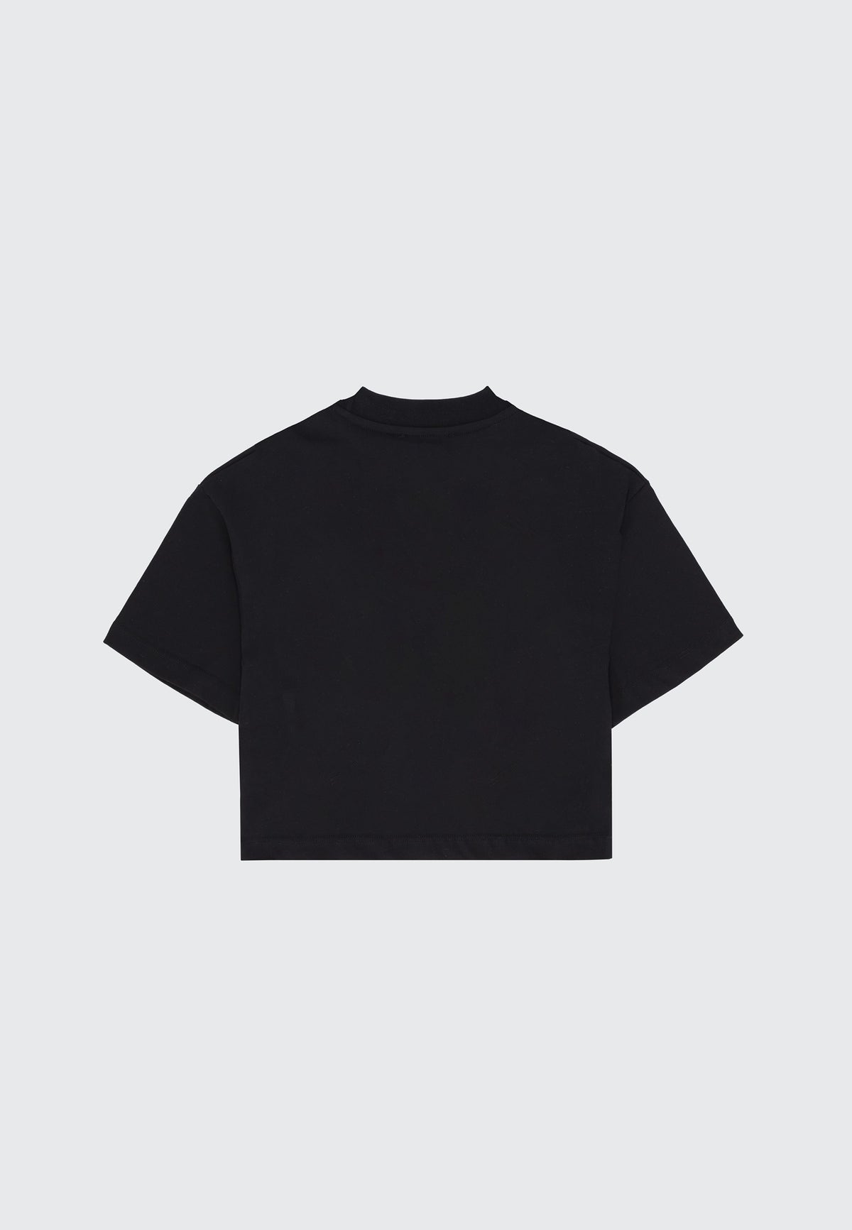 GRAPHICS CROPPED T-SHIRT