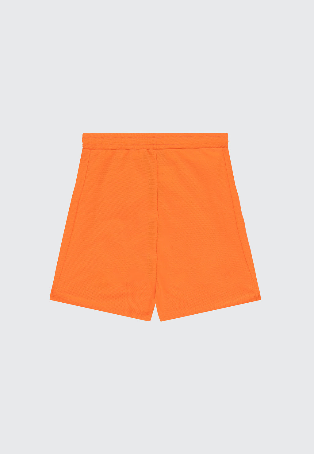 MESH SHORTS