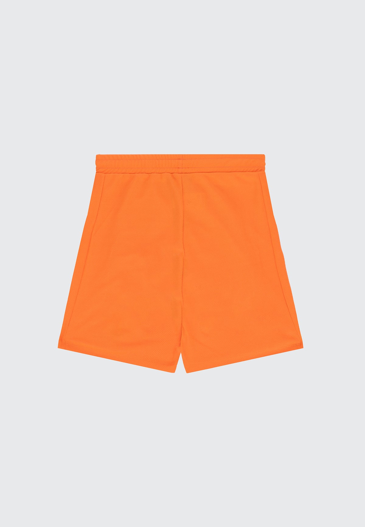 MESH SHORTS