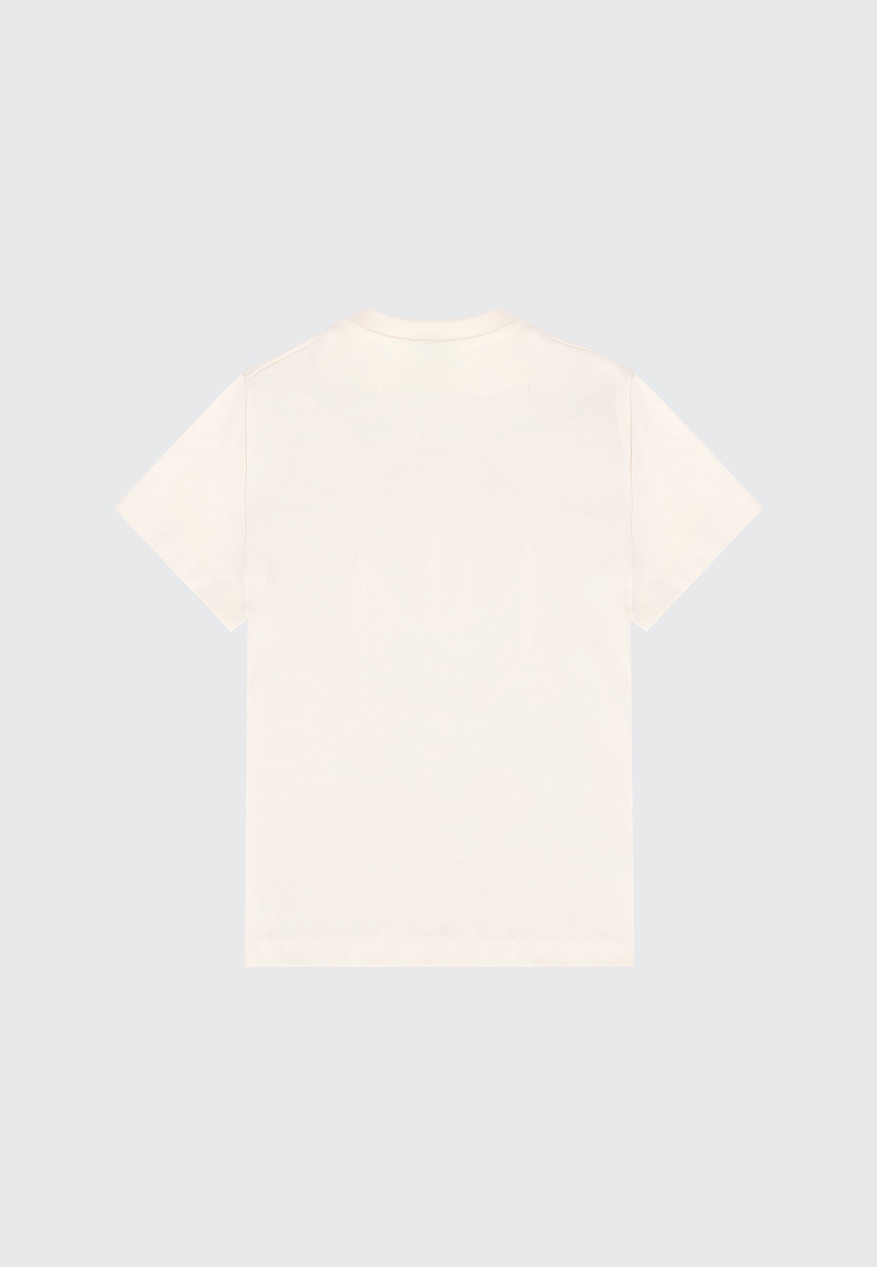 GRAPHICS T-SHIRT